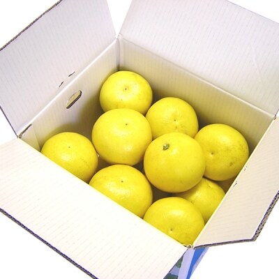 高知の野菜・果物定期便 【F208】