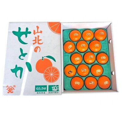 高知の野菜・果物定期便 【F208】