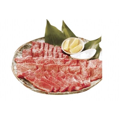 高知の牛・豚・鶏満喫セット【F03004】