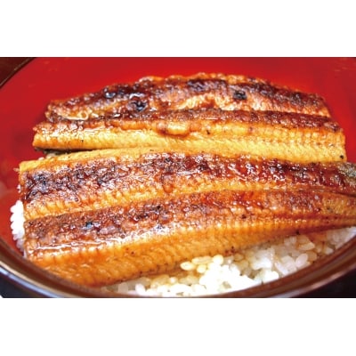 仁淀川うなぎ焼きたて蒲焼き4尾セット 　【E03001】
