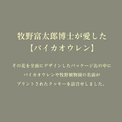 牧野植物図鑑缶　クッキー缶 牧野植物園 牧野富太郎博士 バイカオウレン【C03055】