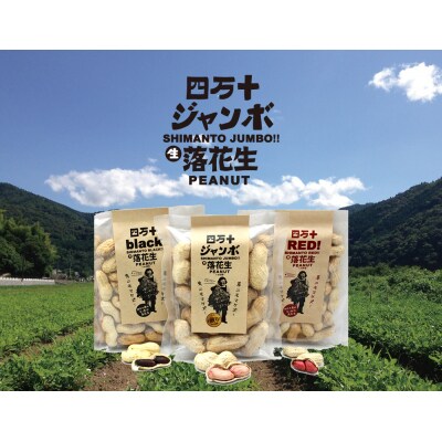四万十ジャンボ落花生3袋セット(プレーン・RED・BLACK)[期間限定品]【B03094】