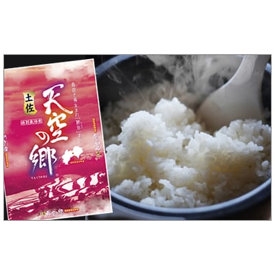 土佐天空の郷　にこまる　約5kg　※令和5年産新米[期間限定品]【C03036】