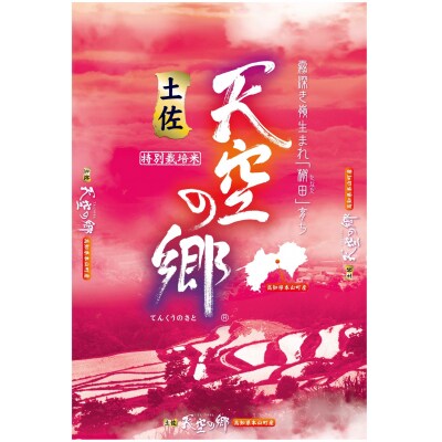 土佐天空の郷　にこまる　約5kg　※令和5年産新米[期間限定品]【C03036】