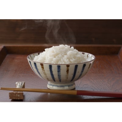 土佐天空の郷　にこまる　約5kg　※令和5年産新米[期間限定品]【C03036】