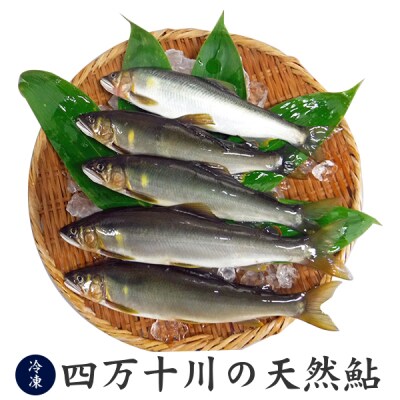 四万十川の釣り天然鮎　　500g(4~12尾)　【冷凍】[期間限定品]【C03054】