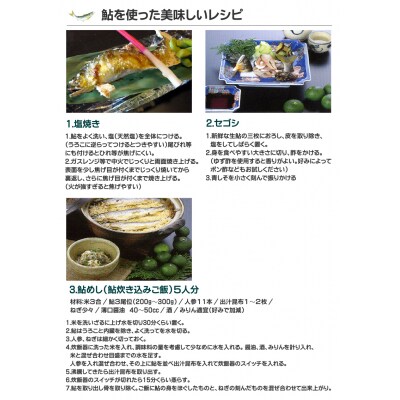 四万十川の釣り天然鮎　　500g(4~12尾)　【冷凍】[期間限定品]【C03054】