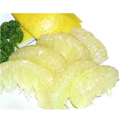 高知県産 土佐文旦 5kg≪ご家庭用≫[期間限定品]【B03067】