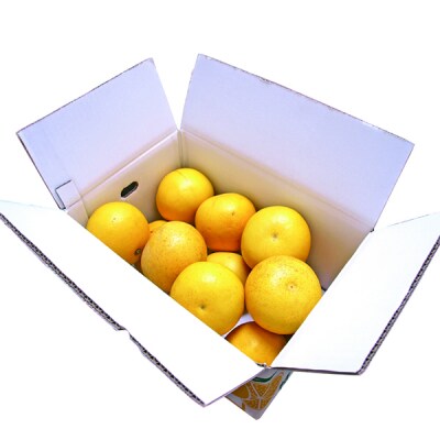 高知県産 土佐文旦 5kg≪ご家庭用≫[期間限定品]【B03067】