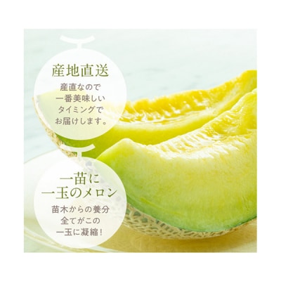 高知県産　マスクメロン　1玉(約1.5kg)[期間限定品]【C03032】