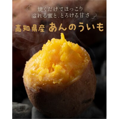 高知県産　あんのういも　約3kg【安納紅芋】[期間限定品]【B03098】