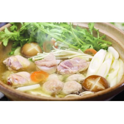 土佐はちきん地鶏鍋セット【D06009】