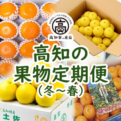 高知の果物定期便(冬～春)【E06014】