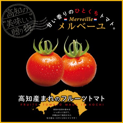 高知産フルーツトマト「メルベーユ」　約1kg[期間限定品]【B06066】