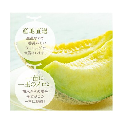 高知県産　マスクメロン　1玉(約1.5kg)[期間限定品]【C06036】
