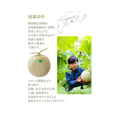 高知県産　マスクメロン　1玉(約1.5kg)[期間限定品]【C06036】