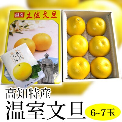 温室文旦 3kg・6〜7玉[期間限定品]【C06037】