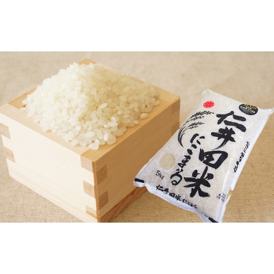 仁井田米　にこまる　5kg　※令和7年産【D06026】 | ふるさと納税のお礼品
