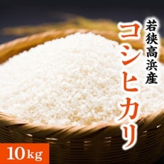 【精米】エコファーマー認定　若狭高浜産コシヒカリ　10kg