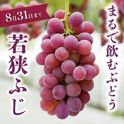 若狭ふじ　1房1kg