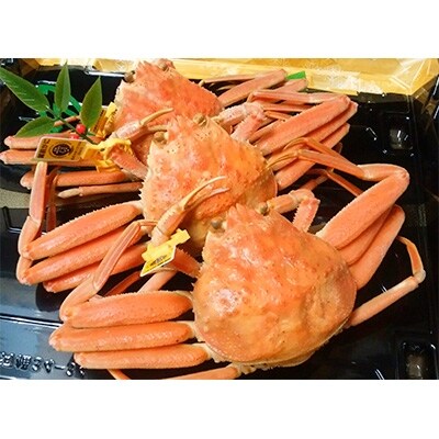 福井県産　越前コッペガニ