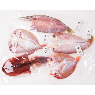 福井県産 米かまぼこ 鯖蒲鉾&旬の厳選灰干しの贅沢7品セット(旬の厳選灰干しの贅沢セット)