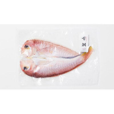 【若狭の灰干し】甘鯛2尾