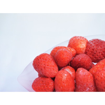 福井県高浜町産 冷凍いちご 1kg (いちご農園のブランドイチゴ「リッチゴ」)
