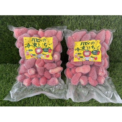 福井県高浜町産 冷凍いちご 1kg (いちご農園のブランドイチゴ「リッチゴ」)