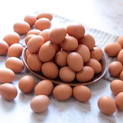 【毎月定期便】濃厚卵黄もみじたまご【40個入り】全3回