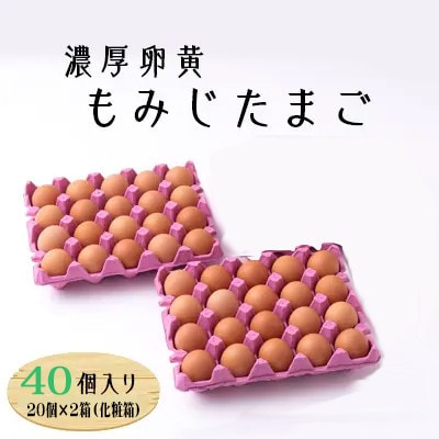 【毎月定期便】濃厚卵黄もみじたまご【40個入り】全6回