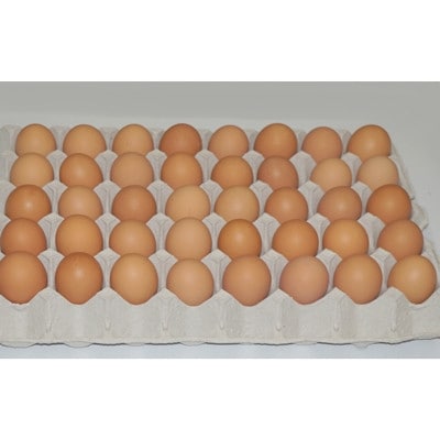 【毎月定期便】濃厚卵黄もみじたまご【160個入り】全3回