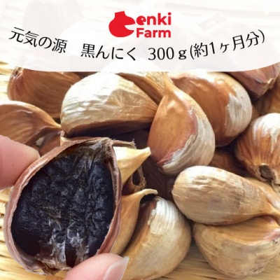 【元気の源黒にんにく300g(約1カ月分)】岐阜県山県市産元気玉にんにく 糖度70度の長期8ヵ月熟成