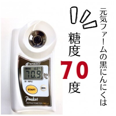 【元気の源黒にんにく300g(約1カ月分)】岐阜県山県市産元気玉にんにく 糖度70度の長期8ヵ月熟成