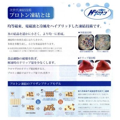 氷温(R)熟成 飛騨牛A5等級もも肉すき焼き用　高速冷凍　500g