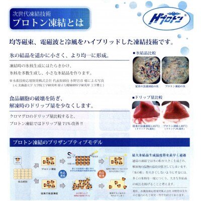 11月下旬より順次発送 氷温(R)熟成　飛騨牛A5等級ロース肉すき焼き　プロトン凍結　1000g