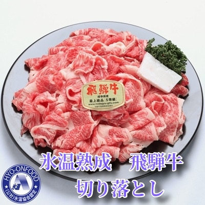 【毎月定期便】氷温(R)熟成 飛騨牛A5等級切り落とし(肩ロース使用)　高速冷凍　450g全12回
