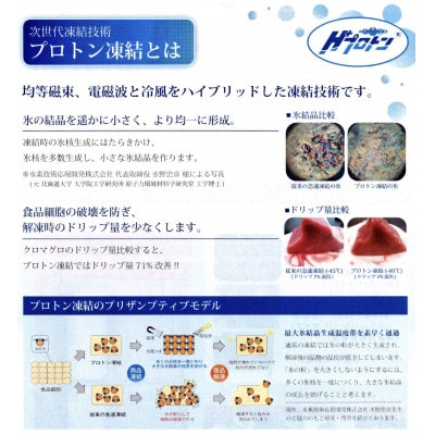 【毎月定期便】氷温(R)熟成 飛騨牛A5等級切り落とし(肩ロース使用)　高速冷凍　450g全12回