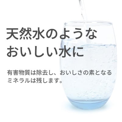 磨水IV まみず4 交換用 フィルター カートリッジ J205P-K 水生活製作所 MIZSEI