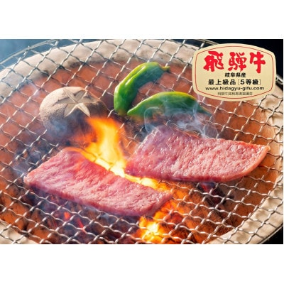 飛騨牛ロース焼肉用 約300g(5等級/冷凍)
