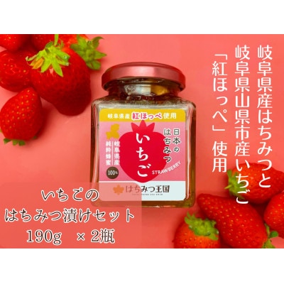 【まるごと岐阜県産】岐阜県産いちごはちみつ漬けセット 190g×2瓶<はちみつ王国>【岐阜県山県市】