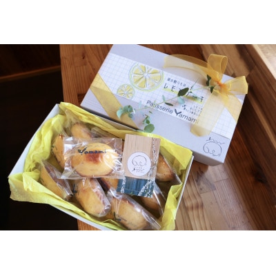 レモンケーキ10個入り