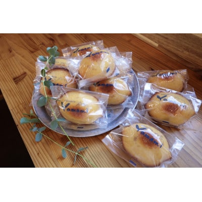 レモンケーキ10個入り