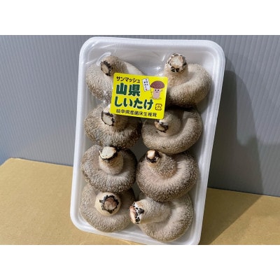 山県しいたけ　約300g×2パック