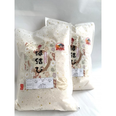 山県市産　縁結び10kg(5kg×2袋)(白米)
