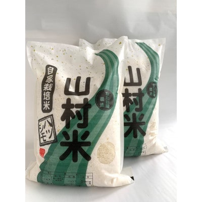山県市産　ハツシモ10kg(5kg×2袋)(白米)