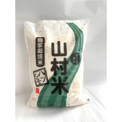 山県市産　ハツシモ5kg(5kg×1袋)(白米)