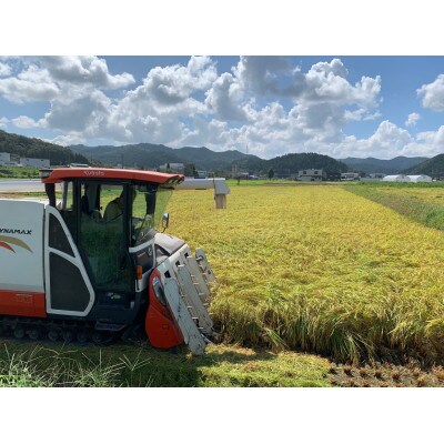 山県市産　ひとめぼれ5kg(5kg×1袋)(白米)