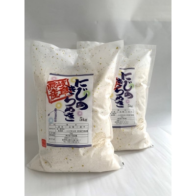山県市産　にじのきらめき　10kg(5kg×2袋)(白米)