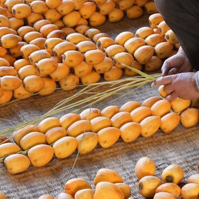 伊自良の高級干し柿 3種食べ比べセット 約630g